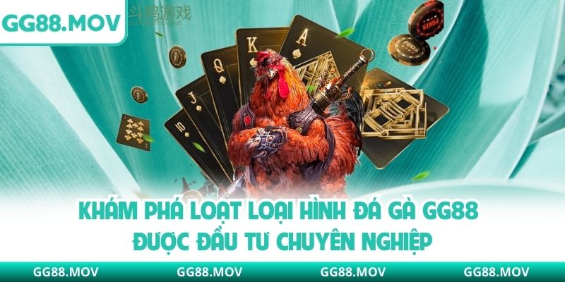 Khám phá loạt loại hình đá gà GG88 được đầu tư chuyên nghiệp